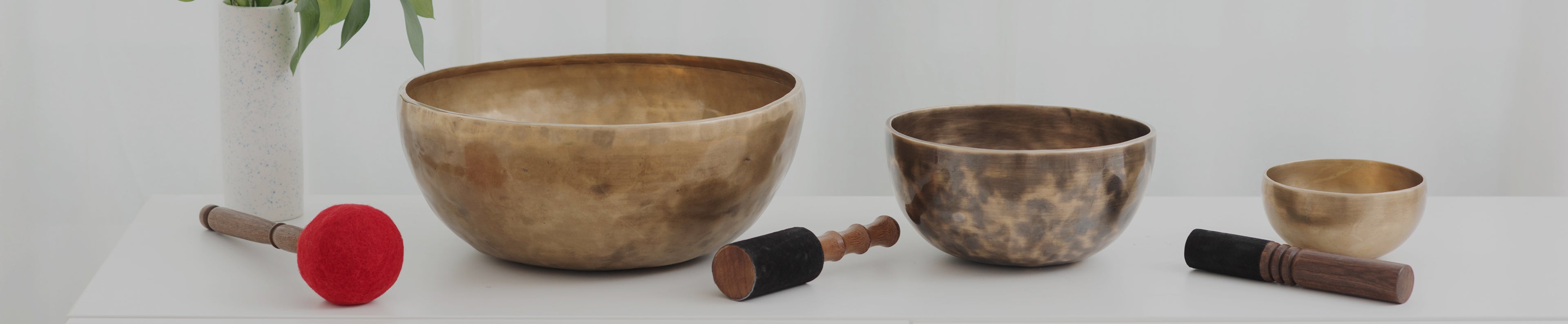 collection-banner-image